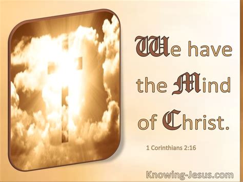 The Divine Glory of Jesus Christ: His Transfiguration